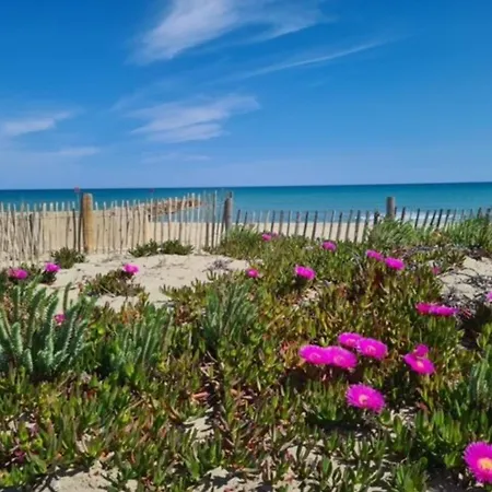 Coeur De Village, Proche Mer, Commerces, Tv, Parking Prive, Ascenseur - Fr-1-529-279 Apartmán